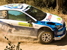 Wilson-Martin Wilson-Martin
