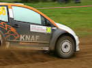 Weijs jr