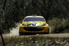 thumb_06longhi.jpg