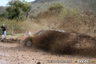 thumb_mexico03ogier.jpg