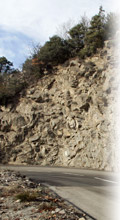 mon08.jpg